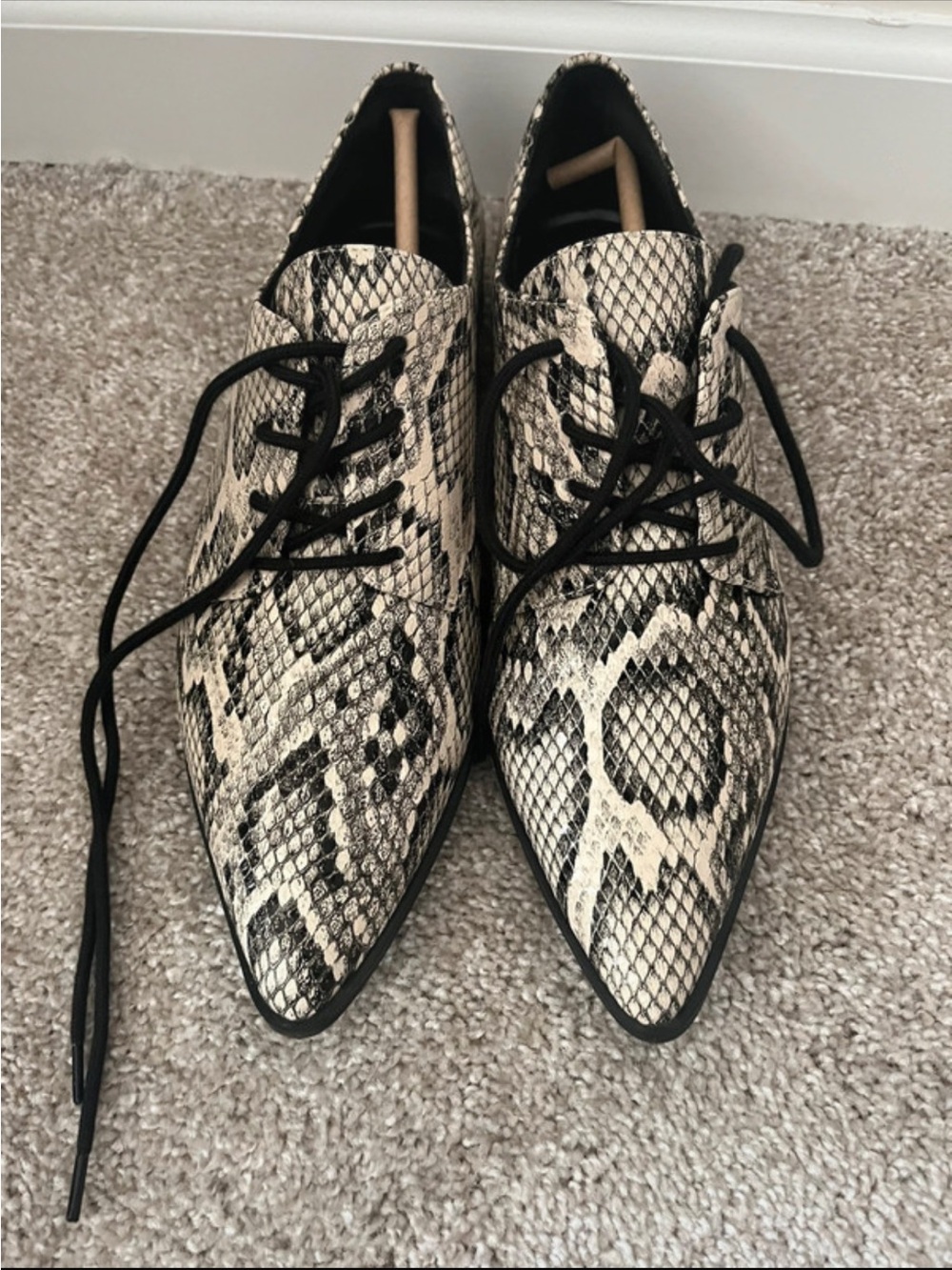 Women’s Pointed Lace-Up Snake Print Flats - Black & Cream